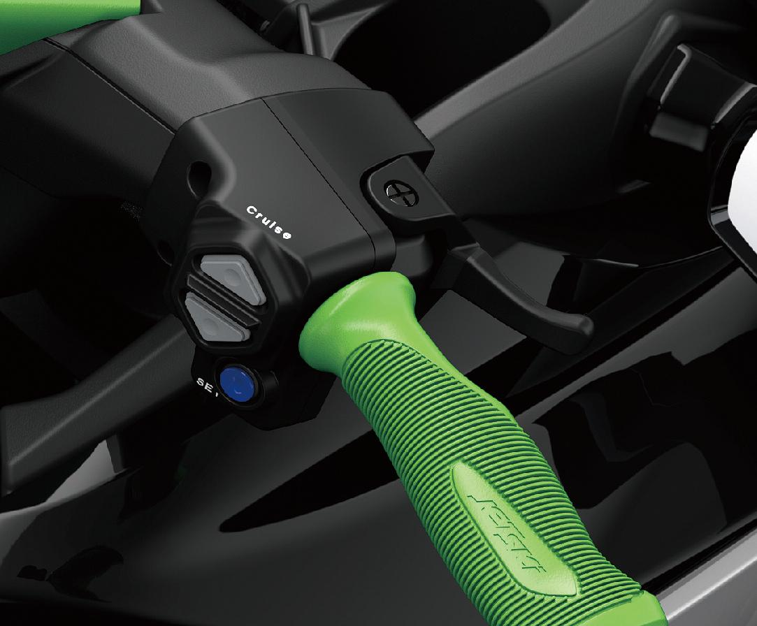 Electronic Cruise Control