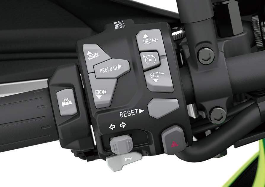 Electronic Cruise Control