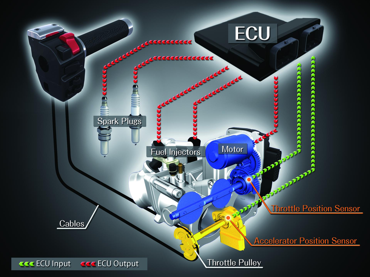 Electronic Throttle Valve System